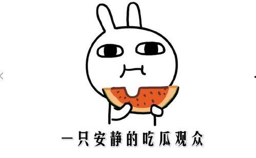 网络上的吃瓜是什么意思,“吃瓜”背后的真相与趣味