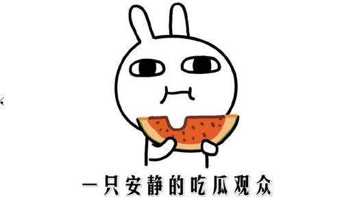 吃瓜事件最新,揭秘网络舆论背后的真相与争议