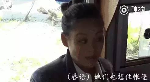 娱乐圈吃瓜老炮儿导演